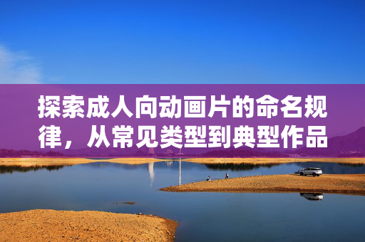 探索成人向动画片的命名规律，从常见类型到典型作品名称