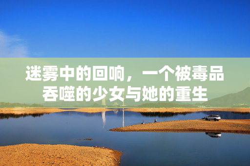 迷雾中的回响,一个被毒品吞噬的少女与她的重生 迷雾中的回响,一个被毒品吞噬的少女与她的重生
