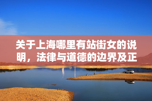 关于上海哪里有站街女的说明,法律与道德的边界及正确应对建议 关于上海哪里有站街女的说明,法律与道德的边界及正确应对建议