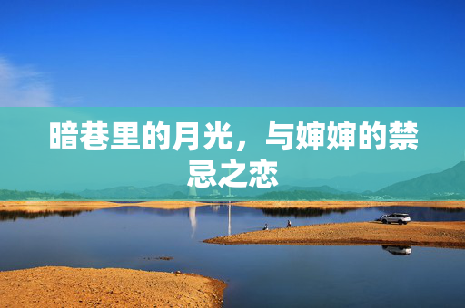 暗巷里的月光,与婶婶的禁忌之恋 暗巷里的月光,与婶婶的禁忌之恋