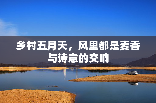 乡村五月天,风里都是麦香与诗意的交响 乡村五月天,风里都是麦香与诗意的交响