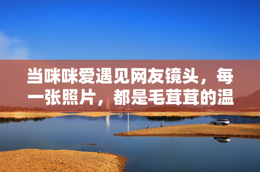 当咪咪爱遇见网友镜头,每一张照片,都是毛茸茸的温柔信笺 当咪咪爱遇见网友镜头,每一张照片,都是毛茸茸的温柔信笺