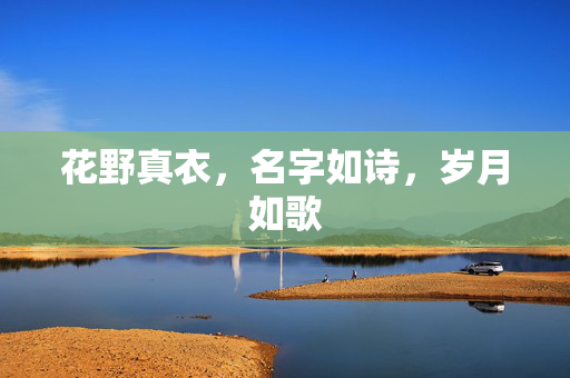 花野真衣，名字如诗，岁月如歌
