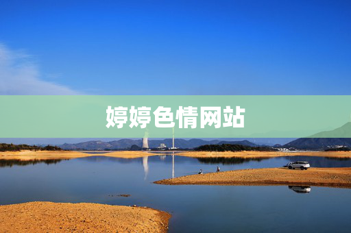 婷婷色情网站