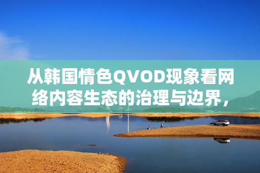 从韩国情色QVOD现象看网络内容生态的治理与边界，韩国情色QVOD现象与网络内容生态治理边界