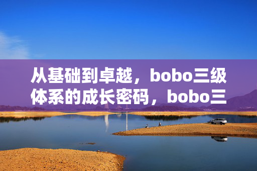 从基础到卓越，bobo三级体系的成长密码，bobo三级体系，从基础到卓越的成长密码