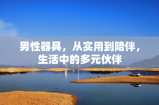 男性器具，从实用到陪伴，生活中的多元伙伴