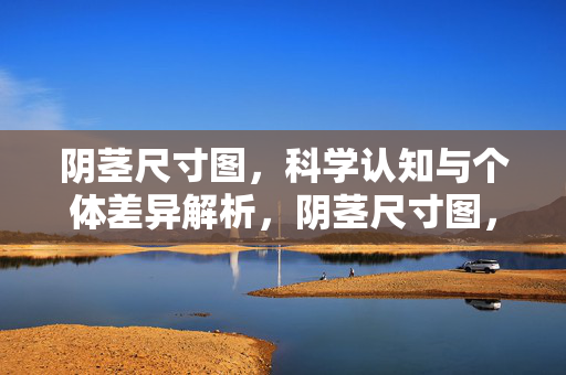 阴茎尺寸图，科学认知与个体差异解析，阴茎尺寸图，科学认知与个体差异解析