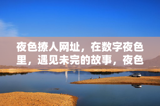 夜色撩人网址，在数字夜色里，遇见未完的故事，夜色撩人网址，数字夜色邂逅未完故事