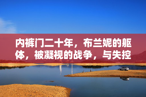 内裤门二十年，布兰妮的躯体，被凝视的战争，与失控的叙事，布兰妮的躯体战争，内裤门二十年的凝视与失控叙事