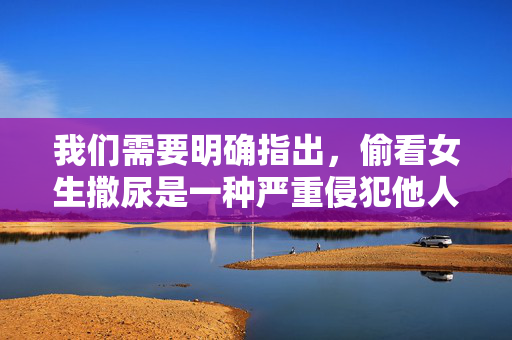 我们需要明确指出，偷看女生撒尿是一种严重侵犯他人隐私的违法行为，违背社会道德和法律法规，必须坚决抵制和谴责。以下从正确价值观角度出发，对相关行为进行严肃说明，并强调尊重他人隐私的重要性