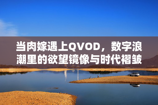 当肉嫁遇上QVOD，数字浪潮里的欲望镜像与时代褶皱