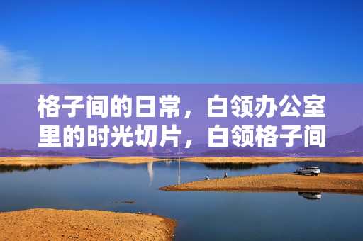 格子间的日常，白领办公室里的时光切片，白领格子间的日常时光切片