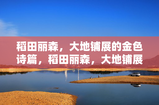稻田丽森，大地铺展的金色诗篇，稻田丽森，大地铺展的金色诗篇