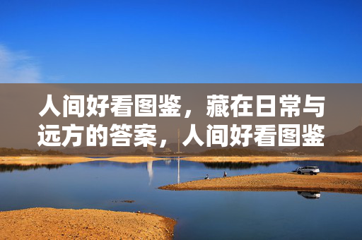 人间好看图鉴，藏在日常与远方的答案，人间好看图鉴，日常与远方的答案