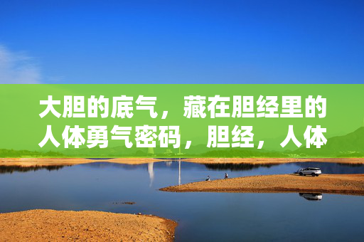 大胆的底气，藏在胆经里的人体勇气密码，胆经，人体勇气的底气密码