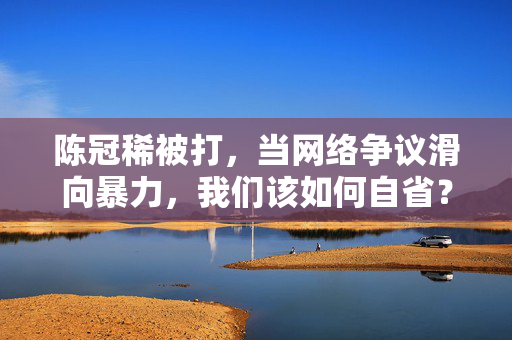 陈冠稀被打，当网络争议滑向暴力，我们该如何自省？