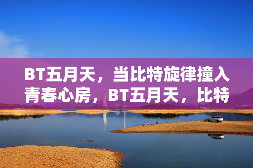 BT五月天，当比特旋律撞入青春心房，BT五月天，比特旋律撞入青春心房