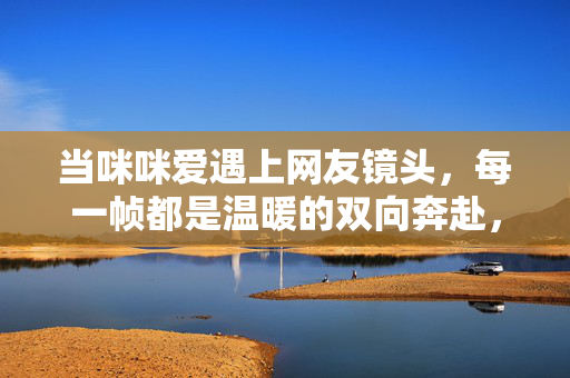 当咪咪爱遇上网友镜头，每一帧都是温暖的双向奔赴，咪咪爱遇上网友镜头，帧帧温暖的双向奔赴