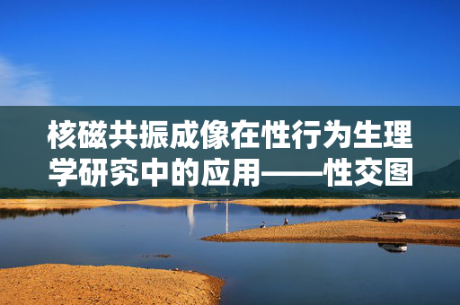 核磁共振成像在性行为生理学研究中的应用——性交图的科学解读，性行为生理学中性交图的核磁共振成像解读