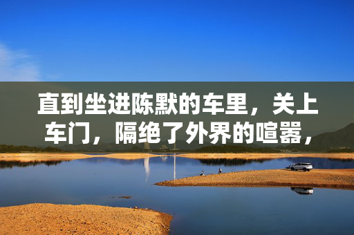 直到坐进陈默的车里，关上车门，隔绝了外界的喧嚣，苏晚紧绷的神经才稍稍松弛。她看着陈默握着方向盘的手，骨节分明，指节因为用力而微微泛白。车窗外，城市的霓虹灯流光溢彩，将他的侧脸切割成明暗不定的碎片，车内凝望，霓虹碎影下的松弛片刻