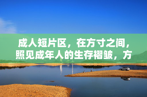 成人短片区，在方寸之间，照见成年人的生存褶皱，方寸褶皱，成人短片的生存映照