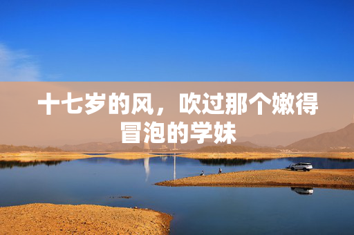十七岁的风，吹过那个嫩得冒泡的学妹