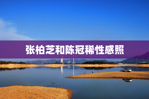 张柏芝和陈冠稀性感照