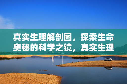 真实生理解剖图，探索生命奥秘的科学之镜，真实生理解剖图，探索生命奥秘的科学之镜