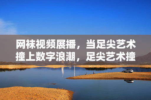 网袜视频展播，当足尖艺术撞上数字浪潮，足尖艺术撞上数字浪潮，网袜视频展播
