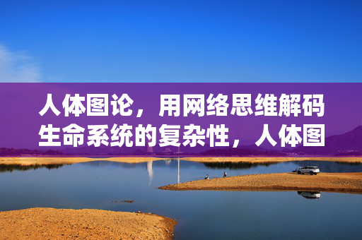 人体图论，用网络思维解码生命系统的复杂性，人体图论，网络思维解码生命复杂性