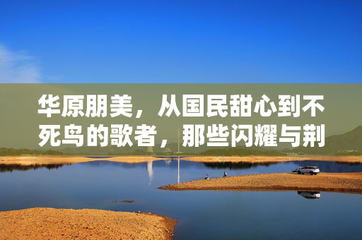 华原朋美，从国民甜心到不死鸟的歌者，那些闪耀与荆棘交织的岁月，华原朋美，从国民甜心到不死鸟，闪耀与荆棘的岁月