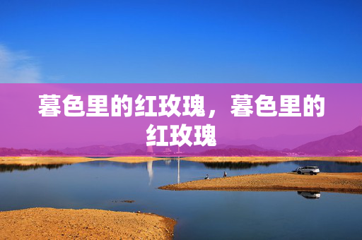 暮色里的红玫瑰，暮色里的红玫瑰