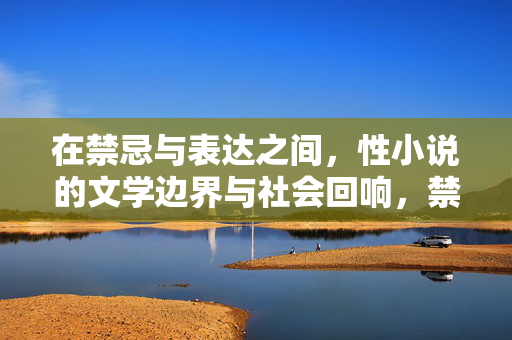 在禁忌与表达之间，性小说的文学边界与社会回响，禁忌与表达，性小说的文学边界与社会回响
