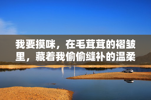我要摸咪，在毛茸茸的褶皱里，藏着我偷偷缝补的温柔，毛茸茸褶皱里藏着的温柔