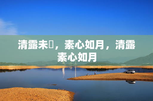 清露未晞，素心如月，清露素心如月