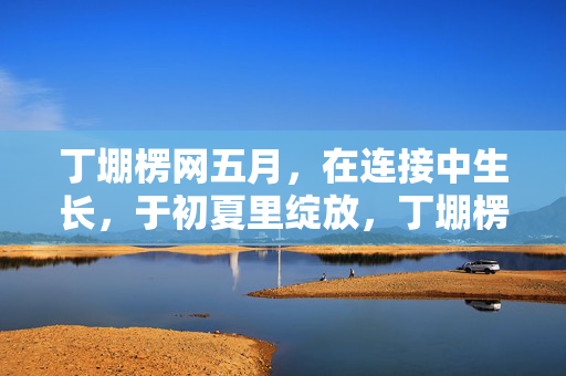 丁堋楞网五月，在连接中生长，于初夏里绽放，丁堋楞网五月，连接生长，初夏绽放