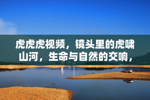 虎虎虎视频，镜头里的虎啸山河，生命与自然的交响，虎啸山河，生命与自然的交响