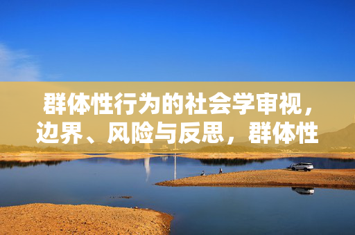 群体性行为的社会学审视，边界、风险与反思，群体性行为的社会学审视，边界、风险与反思