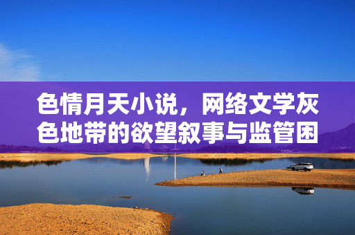 色情月天小说，网络文学灰色地带的欲望叙事与监管困境，色情月天小说，网络文学灰色地带的欲望叙事与监管困境