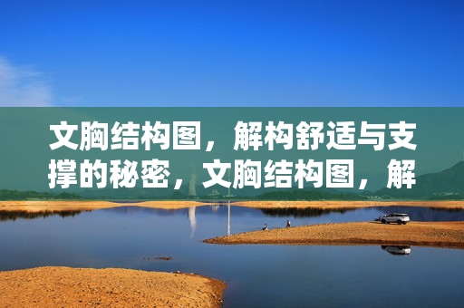 文胸结构图，解构舒适与支撑的秘密，文胸结构图，解构舒适与支撑的秘密