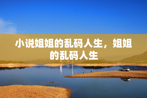 小说姐姐的乱码人生，姐姐的乱码人生