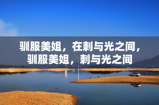 驯服美姐，在刺与光之间，驯服美姐，刺与光之间