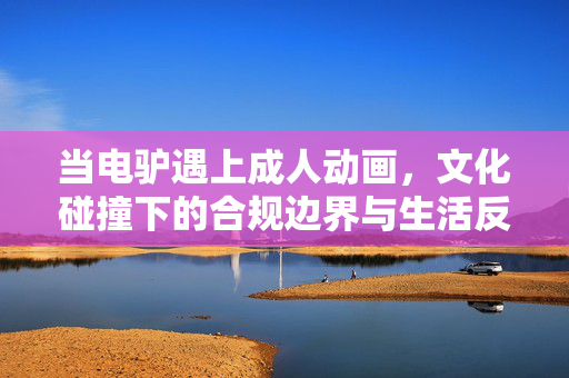 当电驴遇上成人动画，文化碰撞下的合规边界与生活反思，电驴遇上成人动画，文化碰撞下的合规边界与生活反思