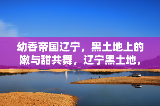 幼香帝国辽宁，黑土地上的嫩与甜共舞，辽宁黑土地，幼香帝国的嫩甜共舞