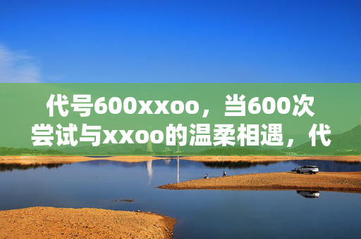 代号600xxoo，当600次尝试与xxoo的温柔相遇，代号600，xxoo的600次温柔相遇
