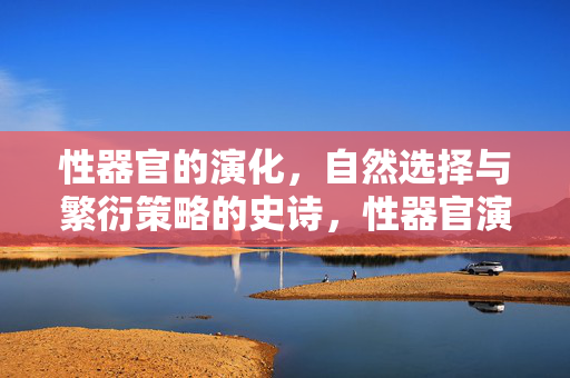 性器官的演化,自然选择与繁衍策略的史诗,性器官演化的史诗,自然选择与繁衍策略 性器官的演化,自然选择与繁衍策略的史诗,性器官演化的史诗,自然选择与繁衍策略