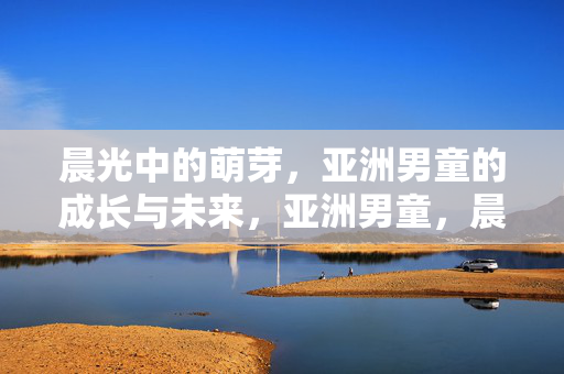 晨光中的萌芽，亚洲男童的成长与未来，亚洲男童，晨光中的成长与未来