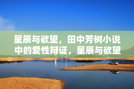 星辰与欲望,田中芳树小说中的爱性辩证,星辰与欲望,田中芳树小说的爱性辩证 星辰与欲望,田中芳树小说中的爱性辩证,星辰与欲望,田中芳树小说的爱性辩证