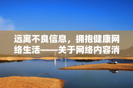 远离不良信息，拥抱健康网络生活——关于网络内容消费的正确引导，消费，拥抱健康网络生活